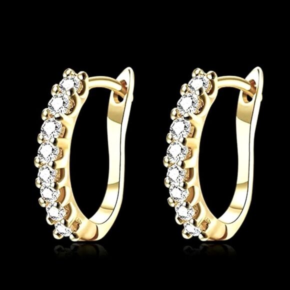 The Icon Pretty 14k Gold plated hoop earrings - Picture 1 of 10
